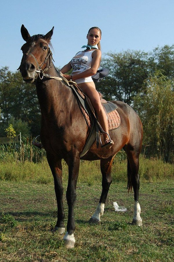 Проститутка Алина